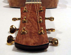 burled maple headstock